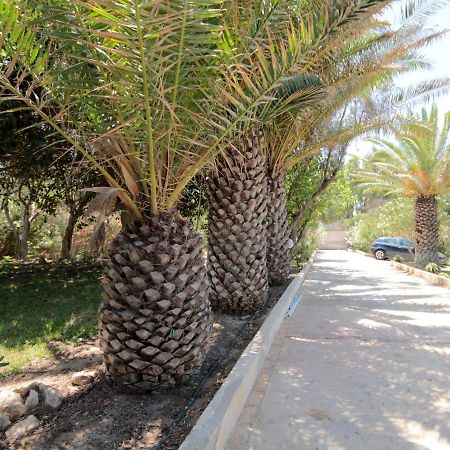 Villa Delle Terrazze Punta Secca Ngoại thất bức ảnh